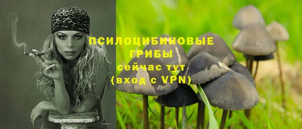 mdpv Заволжск