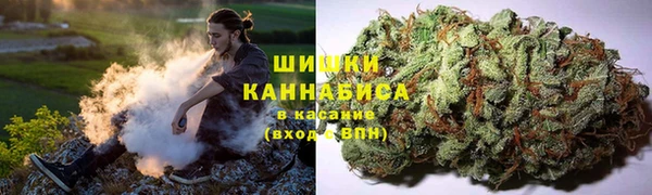 mdpv Заволжск