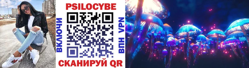 Купить где  Сорочинск  Псилоцибиновые грибы ЛСД 