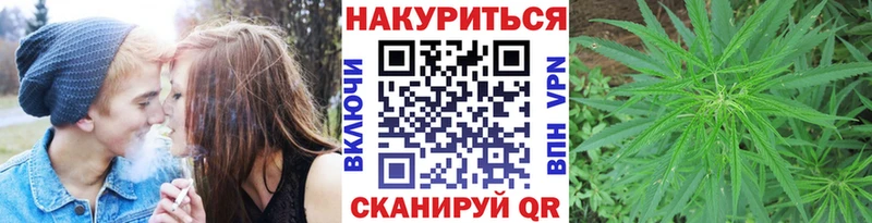 Конопля MAZAR  Купить где  Сорочинск 